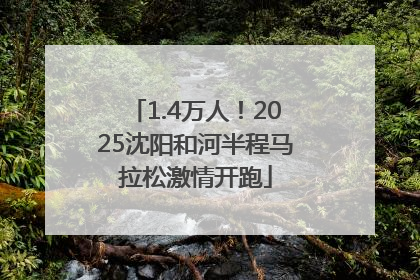 1.4万人！2025沈阳和河半程马拉松激情开跑