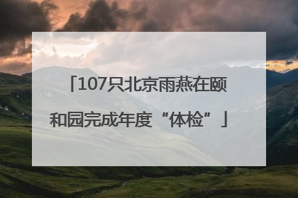 107只北京雨燕在颐和园完成年度“体检”
