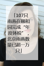 107只雨燕在颐和园完成“年度体检”，北京雨燕数量已超一万只