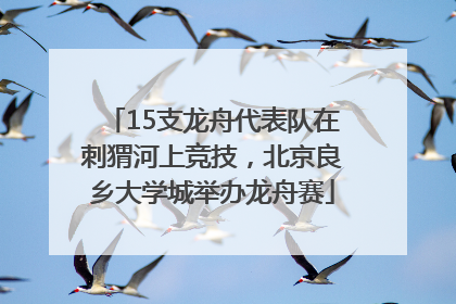 15支龙舟代表队在刺猬河上竞技，北京良乡大学城举办龙舟赛