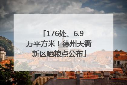 176处、6.9万平方米！德州天衢新区晒粮点公布