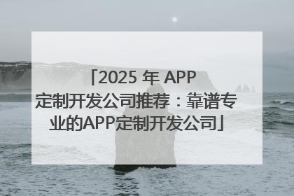 2025 年 APP 定制开发公司推荐：靠谱专业的APP定制开发公司