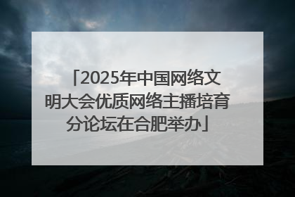 2025年中国网络文明大会优质网络主播培育分论坛在合肥举办