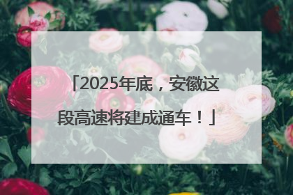 2025年底，安徽这段高速将建成通车！