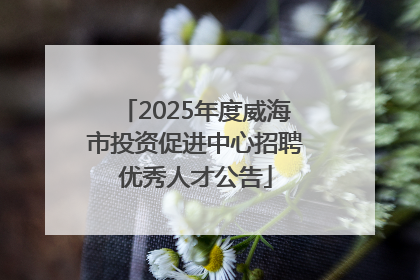 2025年度威海市投资促进中心招聘优秀人才公告