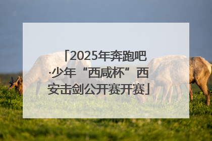 2025年奔跑吧·少年“西咸杯”西安击剑公开赛开赛