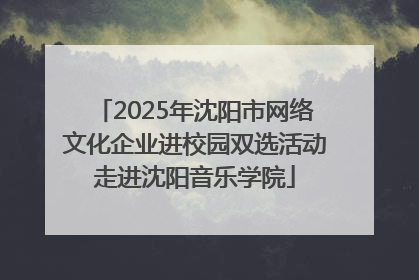 2025年沈阳市网络文化企业进校园双选活动走进沈阳音乐学院