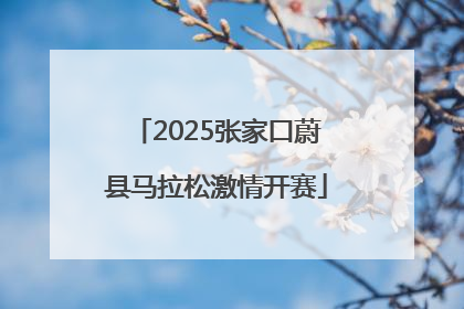 2025张家口蔚县马拉松激情开赛