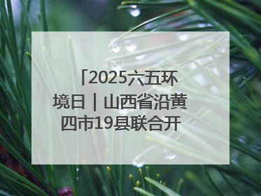 2025六五环境日｜山西省沿黄四市19县联合开展“万里同心，共护黄河”环保志愿者助力一泓清水入黄河公益活动
