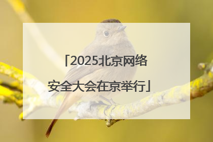2025北京网络安全大会在京举行
