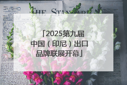 2025第九届中国（印尼）出口品牌联展开幕