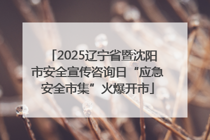 2025辽宁省暨沈阳市安全宣传咨询日“应急安全市集”火爆开市