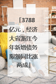 3788亿元，经济大省浙江今年新增债务限额同比涨两成