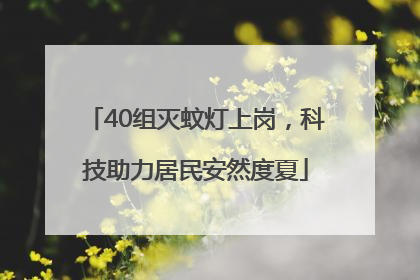 40组灭蚊灯上岗，科技助力居民安然度夏