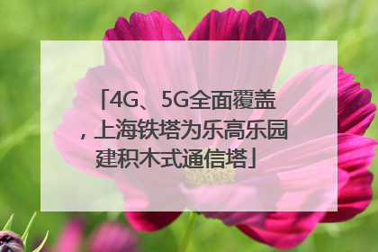 4G、5G全面覆盖，上海铁塔为乐高乐园建积木式通信塔