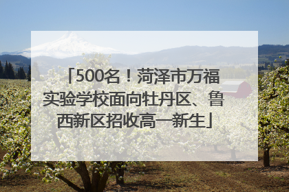 500名！菏泽市万福实验学校面向牡丹区、鲁西新区招收高一新生
