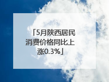 5月陕西居民消费价格同比上涨0.3%