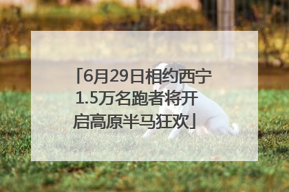 6月29日相约西宁 1.5万名跑者将开启高原半马狂欢