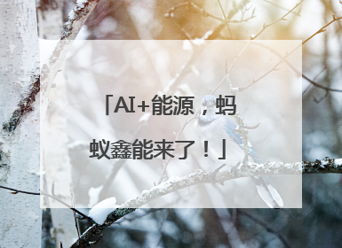 AI+能源，蚂蚁鑫能来了！