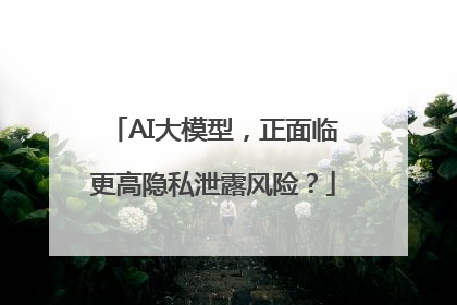 AI大模型，正面临更高隐私泄露风险？