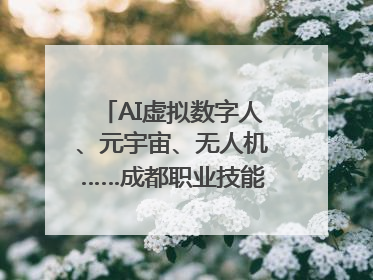 AI虚拟数字人、元宇宙、无人机……成都职业技能大赛启动