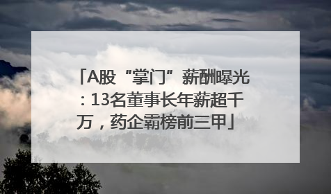 A股“掌门”薪酬曝光：13名董事长年薪超千万，药企霸榜前三甲