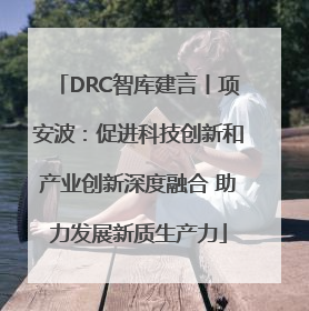 DRC智库建言丨项安波：促进科技创新和产业创新深度融合 助力发展新质生产力