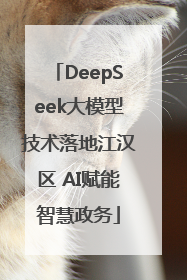 DeepSeek大模型技术落地江汉区 AI赋能智慧政务