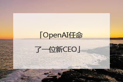 OpenAI任命了一位新CEO