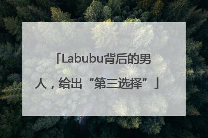Labubu背后的男人，给出“第三选择”