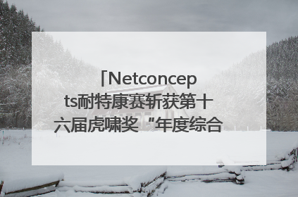 Netconcepts耐特康赛斩获第十六届虎啸奖“年度综合服务商”大奖