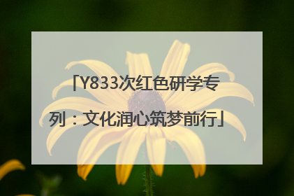 Y833次红色研学专列：文化润心筑梦前行